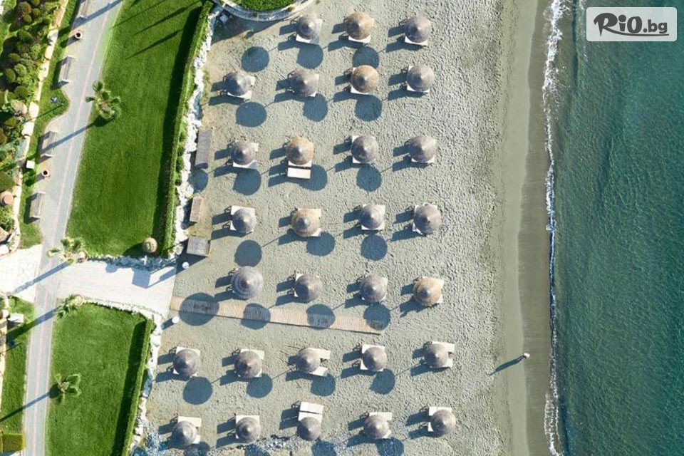 Солвекс - thumb 4 Солвекс - thumb 4