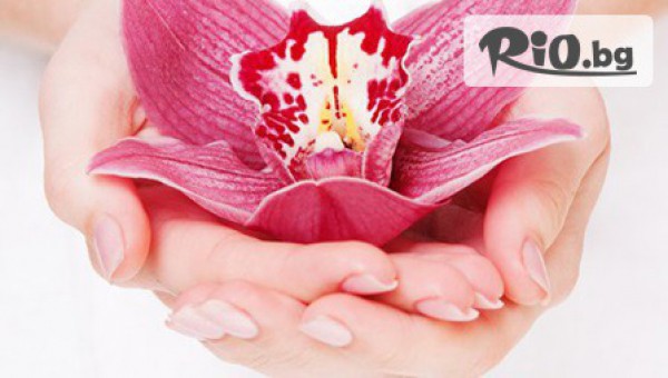 Max Fashion Studio - thumb 3