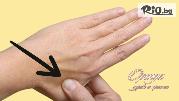 Студио Оренда - thumb 2