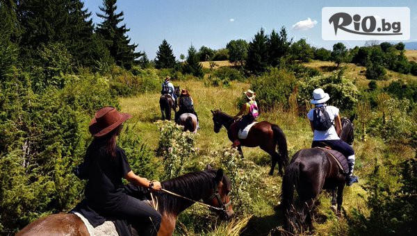 Конна езда Ризов - thumb 3