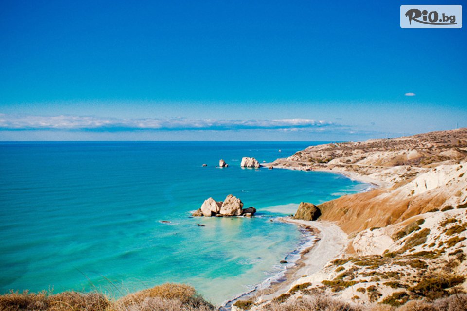 Арена Холидейз - thumb 7 Арена Холидейз - thumb 7