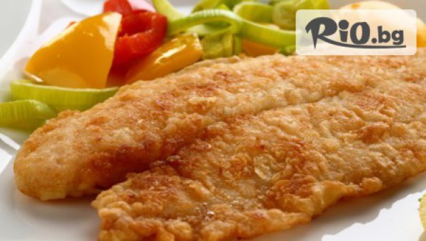 Салата и основно ястие по избор само за 4.90лв! Вкусно хапване от Ресторант Стара Пивница