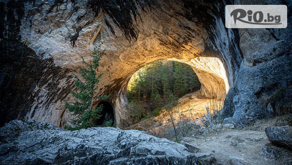 Рикотур - thumb 2