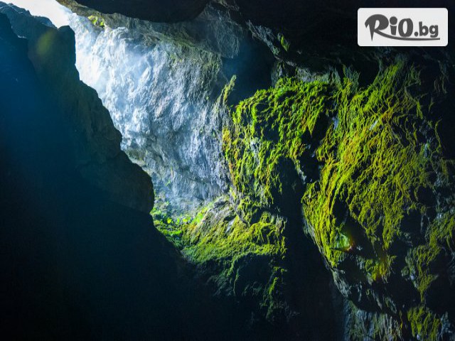 Рикотур - thumb 5 Рикотур - thumb 5