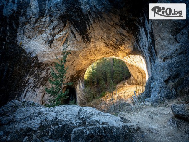 Рикотур - thumb 6 Рикотур - thumb 6