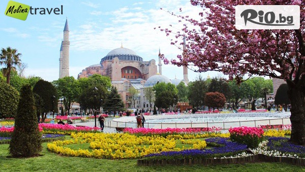 За Фестивала на лалетата в Истанбул #1