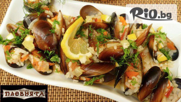 Голямо тристепенно меню - Салата, Основно с гарнитура и Десерт по избор само за 7.90лв, от Механа Плевнята Бийч