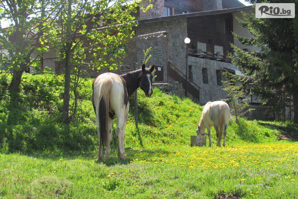 Хотелски комплекс Еделвайс - thumb 2