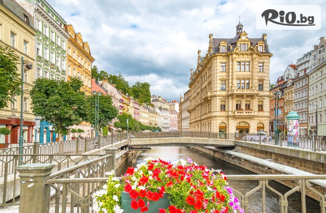 Солвекс - thumb 2