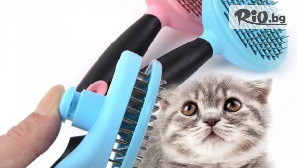 Waggy Tails Pet Grooming & Spa - thumb 3