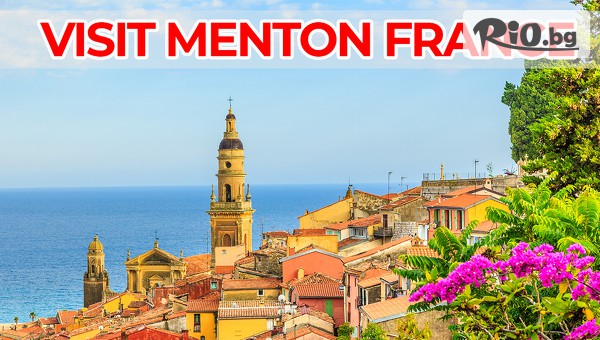 Bella Travel - thumb 7