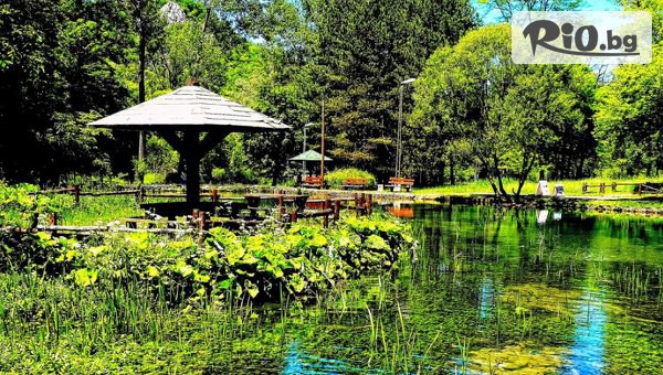 Джуанна Травел - thumb 3