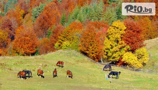 Ранчо Диви Родопи - thumb 4