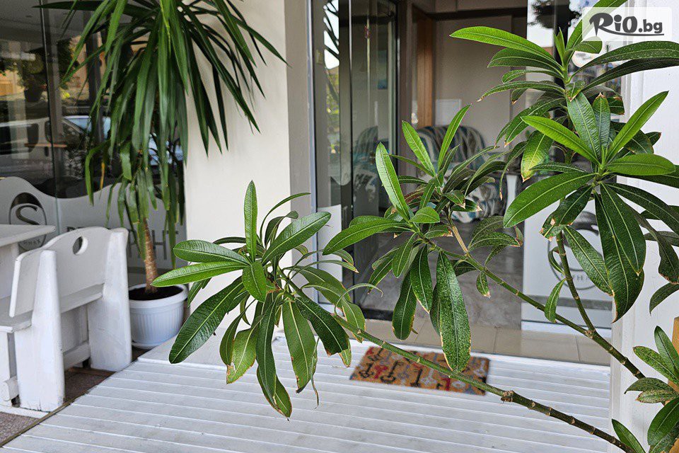 Lotos Apartments - thumb 3 Lotos Apartments - thumb 3