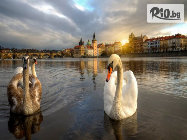 Туристическа агенция Мивеки - thumb 5 Туристическа агенция Мивеки - thumb 5