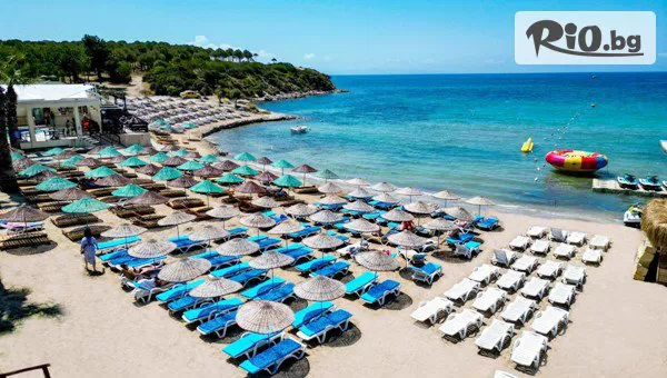 Golden Voyages - thumb 4