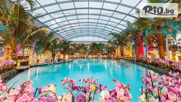 Адвентур - thumb 6