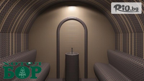 Хотел Бор - thumb 5