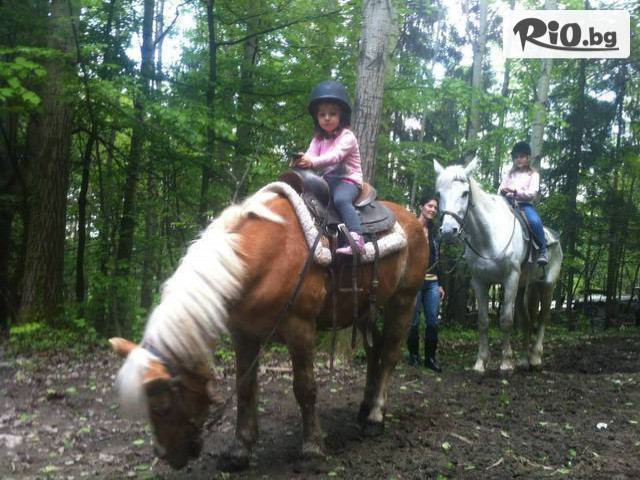 Конна база "" Драгалевци" - thumb 4 Конна база "" Драгалевци" - thumb 4