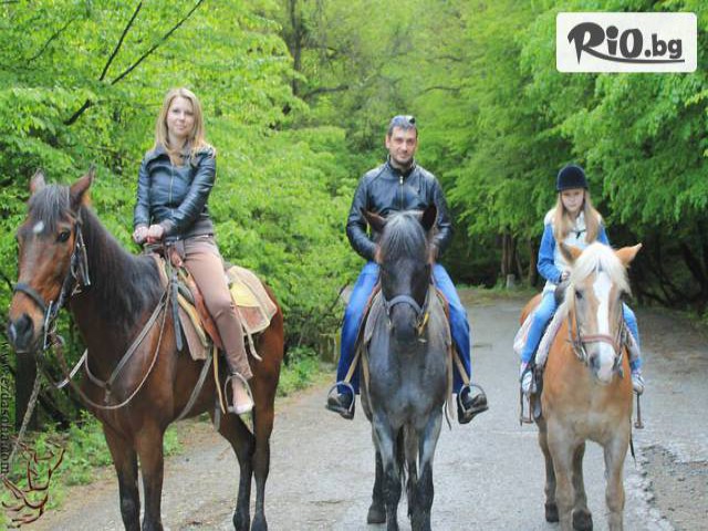 Конна база "" Драгалевци" - thumb 5 Конна база "" Драгалевци" - thumb 5