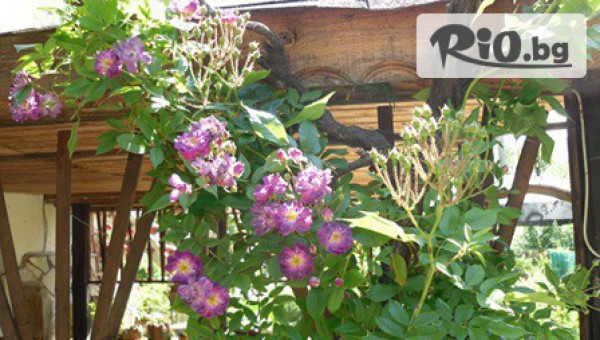 Къща за гости "ВЕСЕЛАТА КЪЩА" - thumb 3