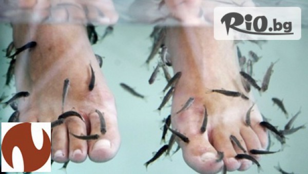 Масажно студио Ниа - thumb 6