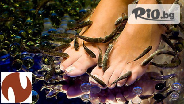 Масажно студио Ниа - thumb 3