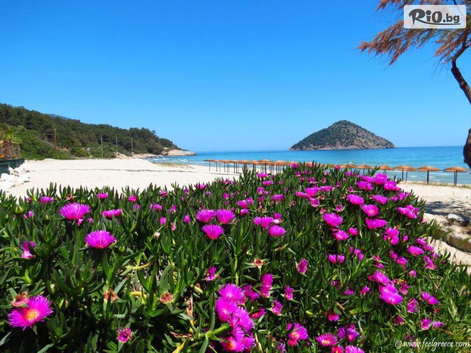 Travelia - thumb 28 Travelia - thumb 28