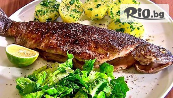 Бистро Нептун - thumb 3