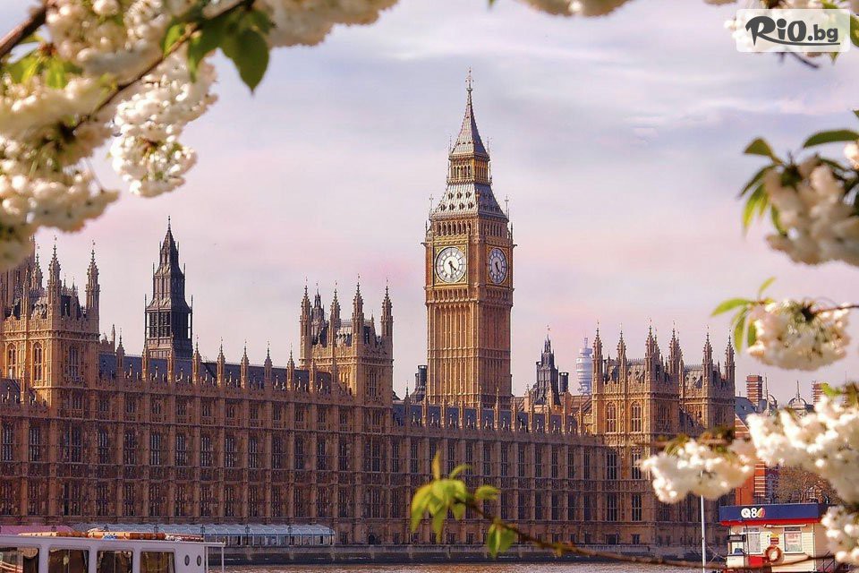 Арена Холидейз - thumb 6