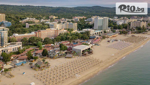 Гладиола Стар - thumb 2