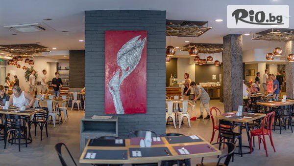 Гладиола Стар - thumb 18