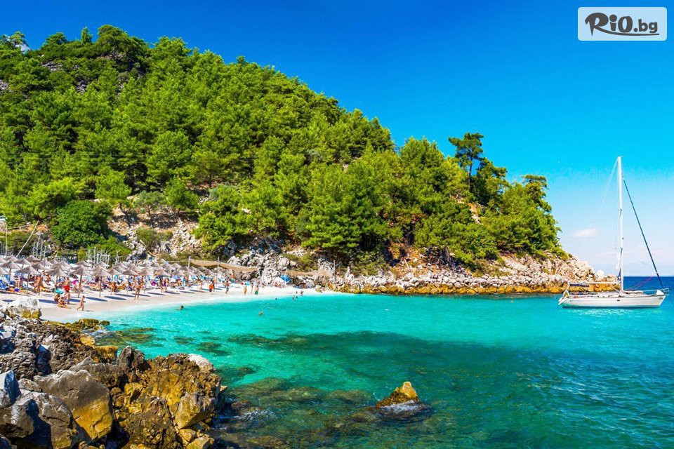 Солвекс - thumb 26 Солвекс - thumb 26