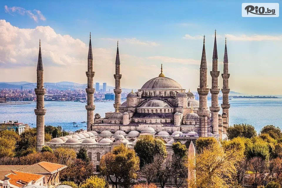 Глобул Турс - thumb 14