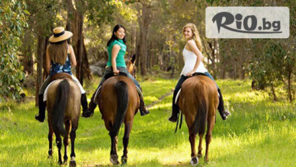 Конна база София - Юг - thumb 2