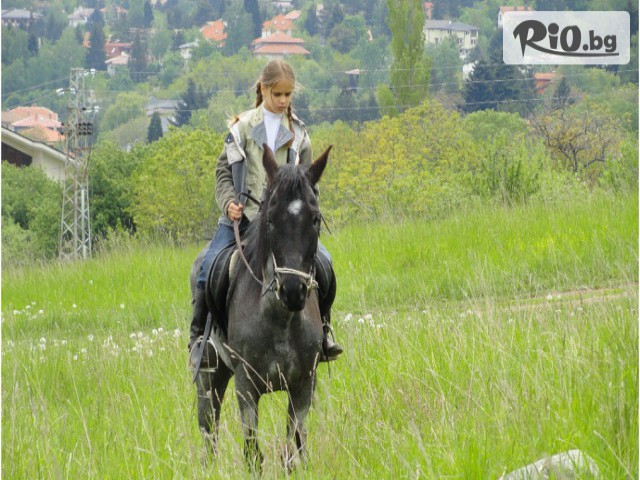 Конна база София - Юг - thumb 3 Конна база София - Юг - thumb 3