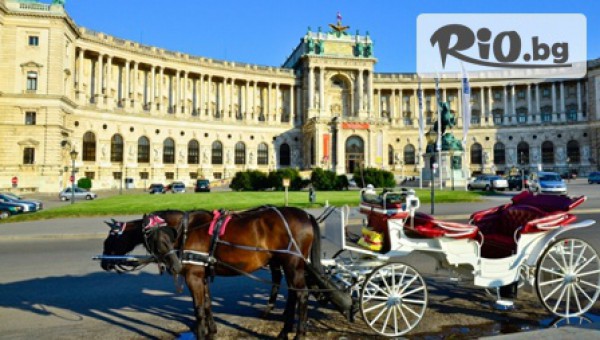 туристическо бюро Пълдин - thumb 5