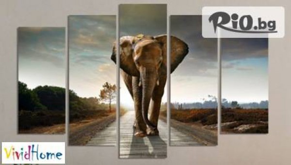 Vivid Home - thumb 2