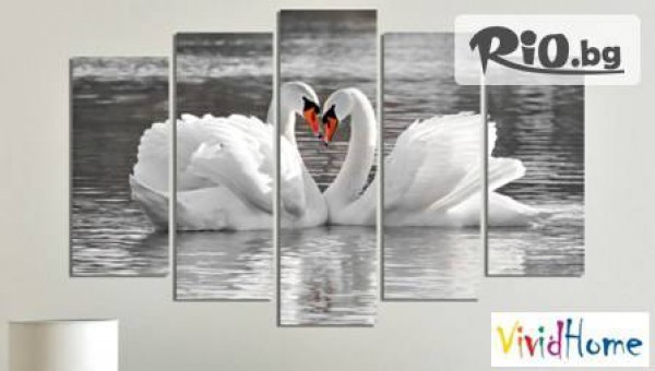 Vivid Home - thumb 5