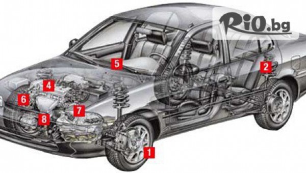 „СТЕЛА-НОА” ООД - thumb 3