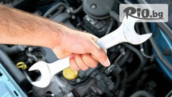 „СТЕЛА-НОА” ООД - thumb 2