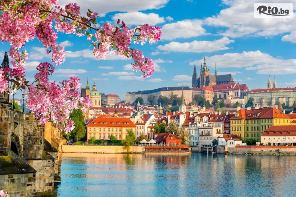 Солвекс - thumb 3 Солвекс - thumb 3