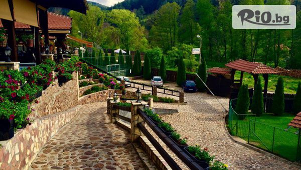 Гала Холидейс - thumb 2