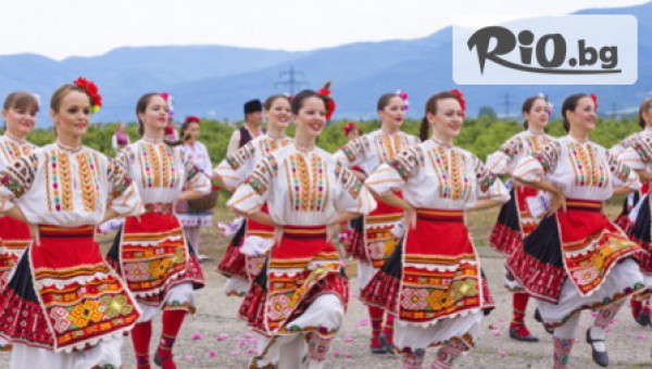 Архолл Арена - thumb 2