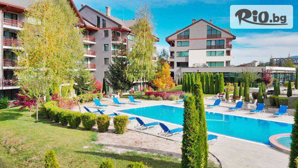 Local Stay - thumb 2