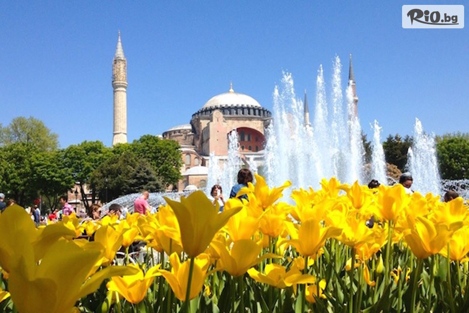 Туристическа агенция Ана Травел - thumb 3 Туристическа агенция Ана Травел - thumb 3