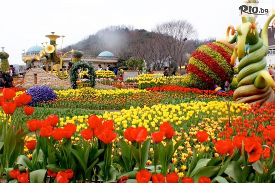 Туристическа агенция Ана Травел - thumb 6 Туристическа агенция Ана Травел - thumb 6