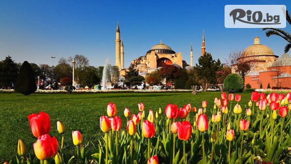 ТА Поход - thumb 3