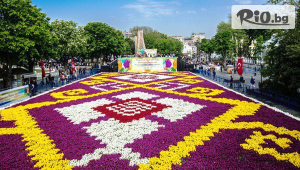 Дениз Травел - thumb 4