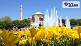 Фестивал на Лалето 2026 в Истанбул #1